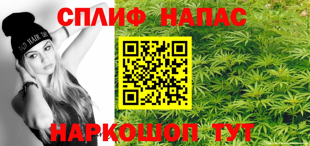 Бошки Шишки планчик Чита